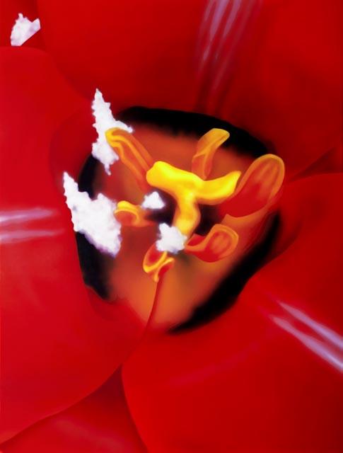 MARC QUINN – CLOSE UP II