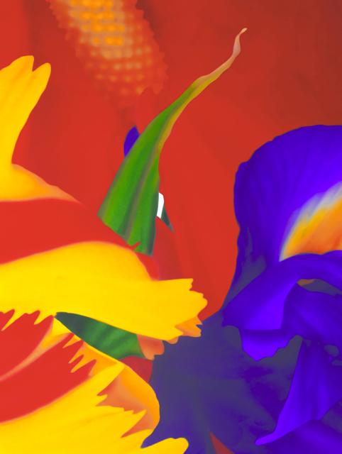 MARC QUINN – PLATE 1