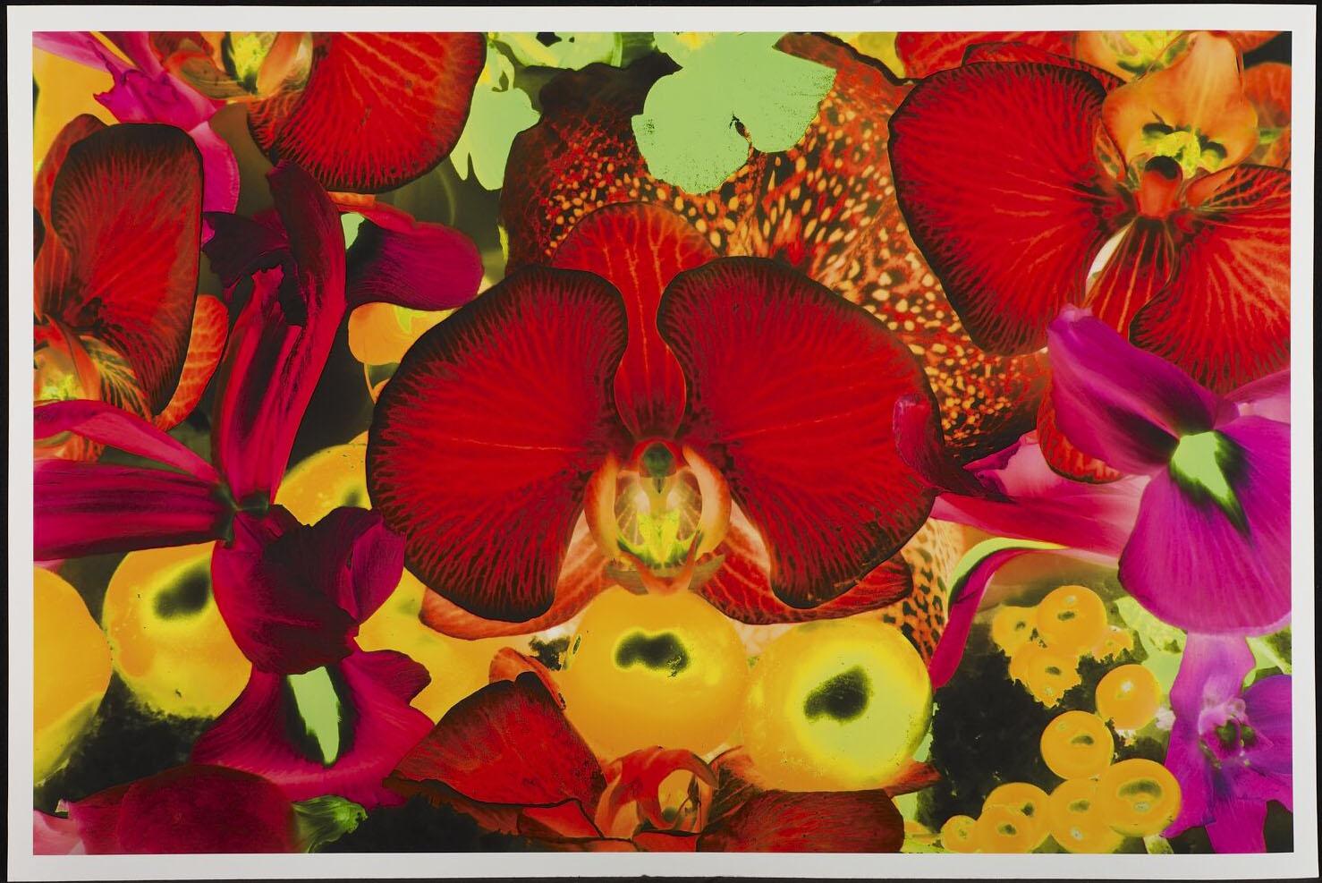 MARC QUINN – PLATE 2