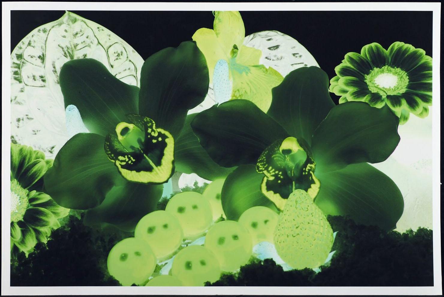 MARC QUINN – PLATE 7