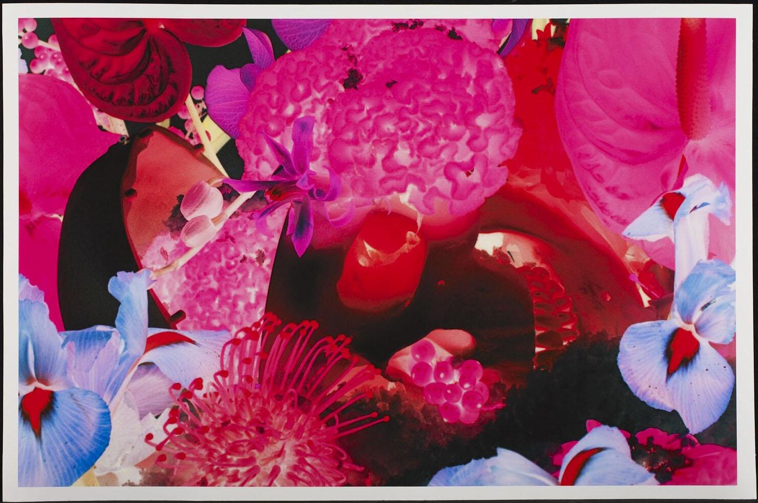 MARC QUINN – PLATE 8