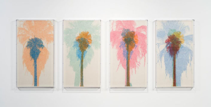 Charles Gaines - Numbers and Trees: Palm Canyon, Palm Trees Series